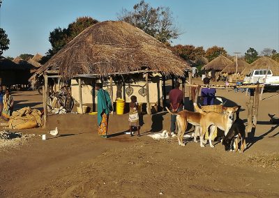 Alltagsszene in einem Dorf in Sambia - Menschen und Tiere vor einem bemaltem Lehmhaus, Aufnahme: © Hilde Chistè