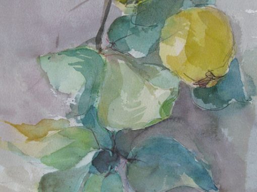 Naturstudien Figurativ-Landschaft-Stillleben